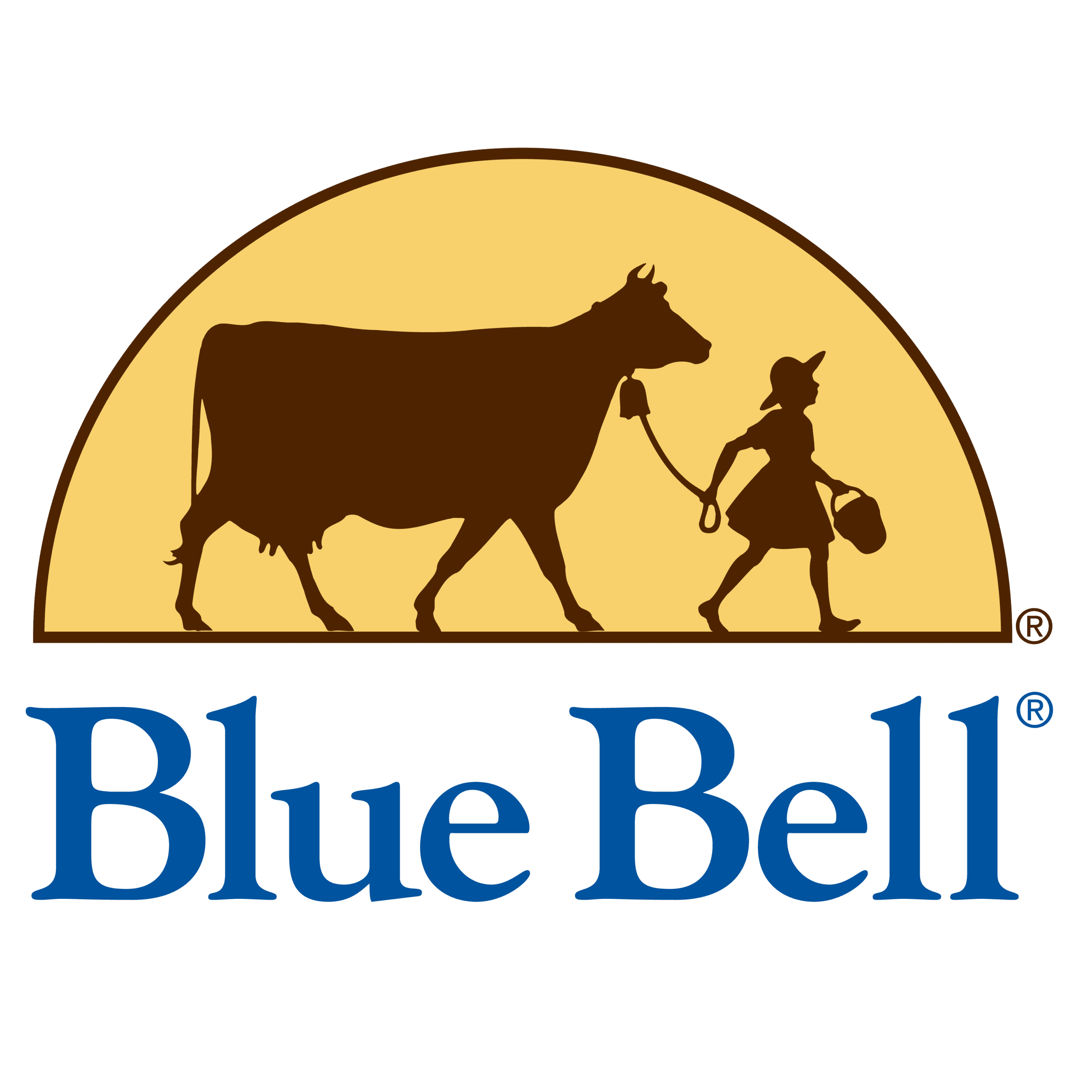 Blue Bell Ice Cream - Citadel Christian School Gala Platinum Sponsor